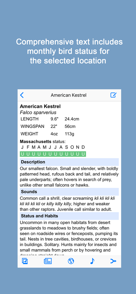Sibley Birds 2nd Edition - Perfil detalhado da espécie para o Falcão-quiriquiri mostrando medidas físicas e informações de status mensal