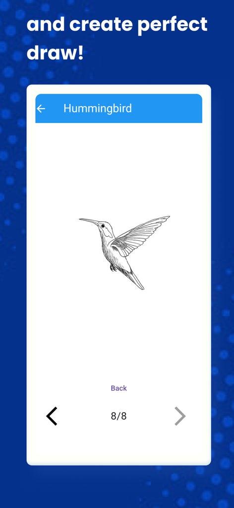 How to Draw Animals by Steps - El último paso de un tutorial de dibujo de colibrí en la aplicación que muestra un boceto completo del ave