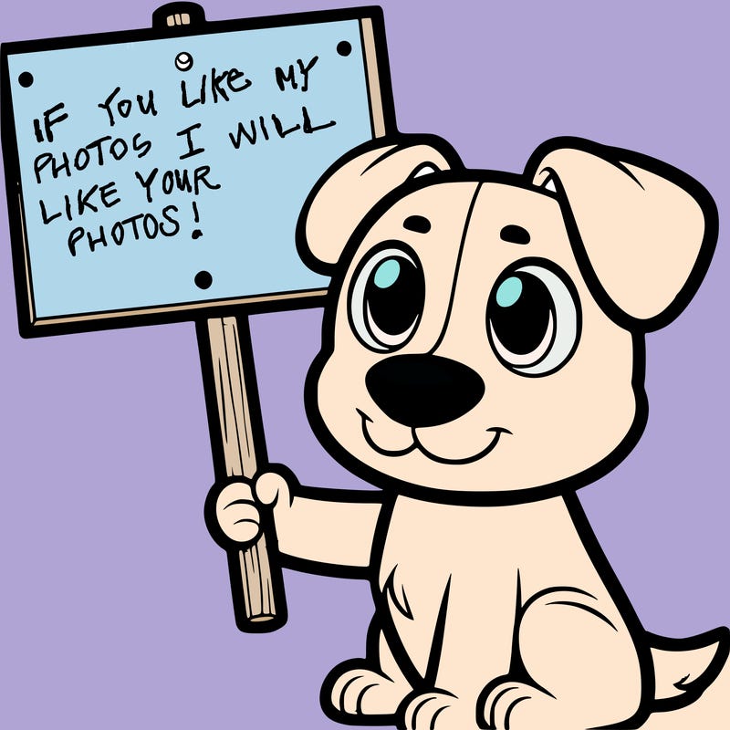 dog holding a sign