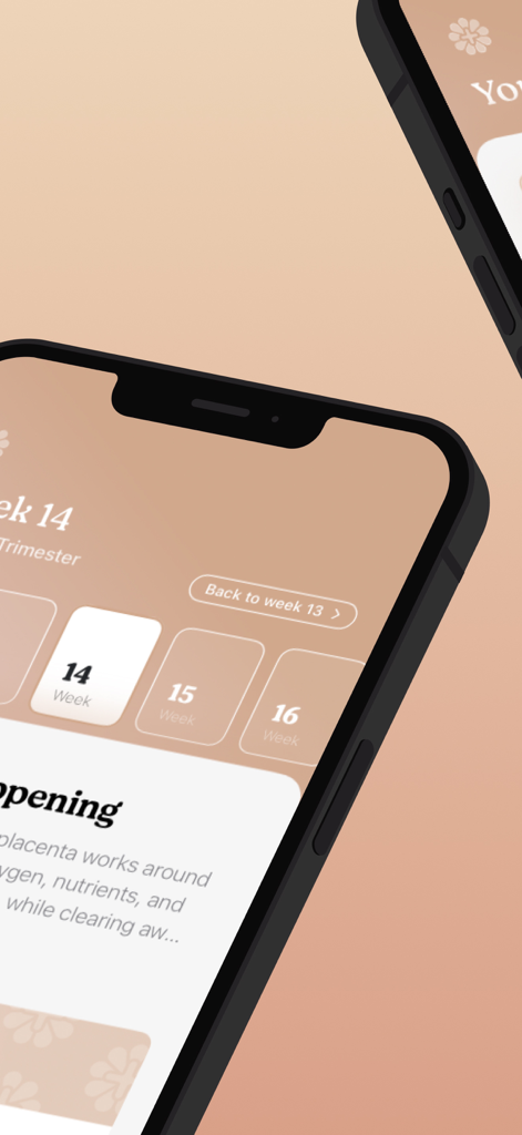 Nine+ Pregnancy Tracking - Interfaz minimalista de la aplicación de rastreo de embarazo Nine plus que muestra la línea de tiempo de seguimiento de la semana catorce