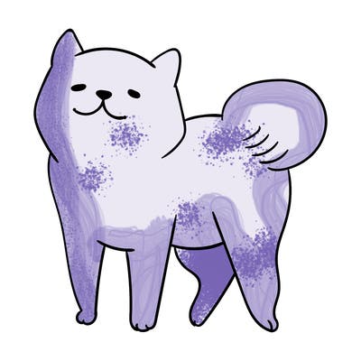 animals_29