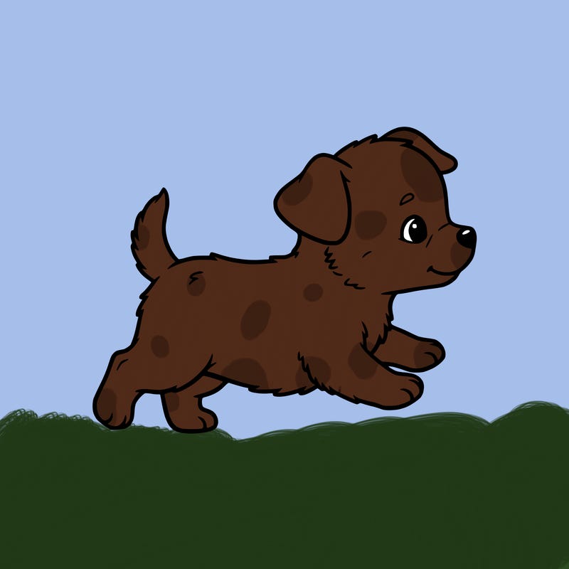 alittle cute babby dog