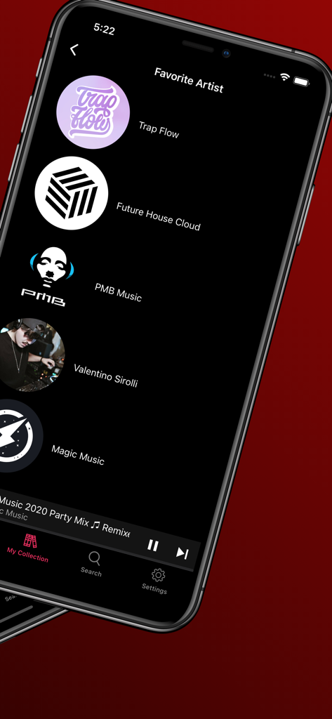 YoMuzik app interface displaying a list of favorite artists in the music collection