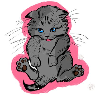 animals_20