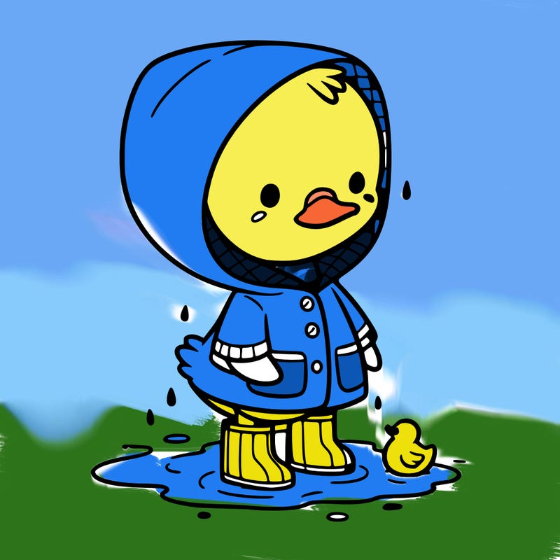 baby duck in a rain coat and boots, in a puddle while it’s raining