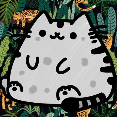 pusheen cat