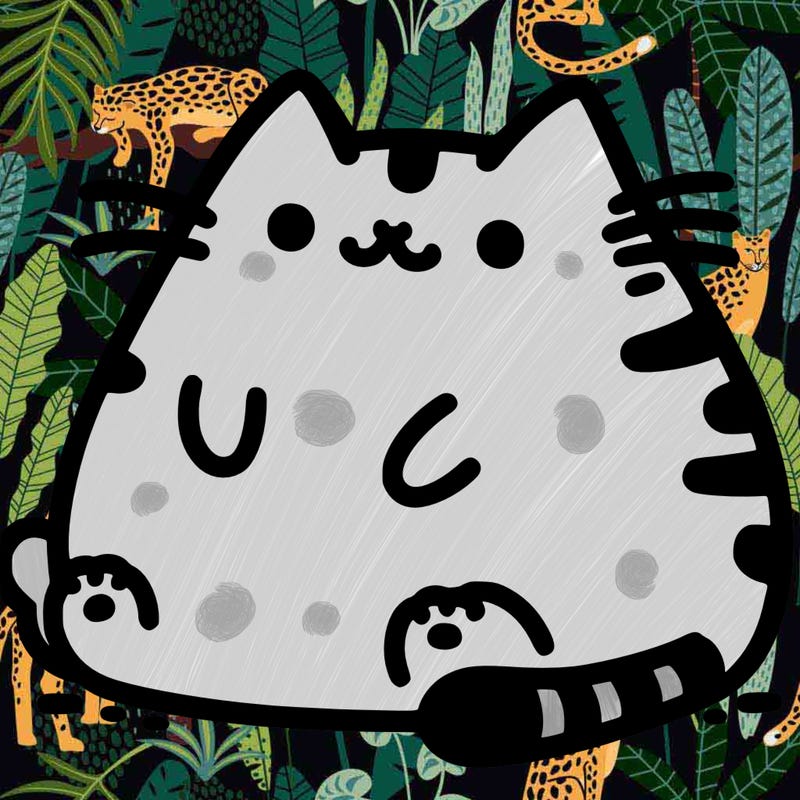 pusheen cat