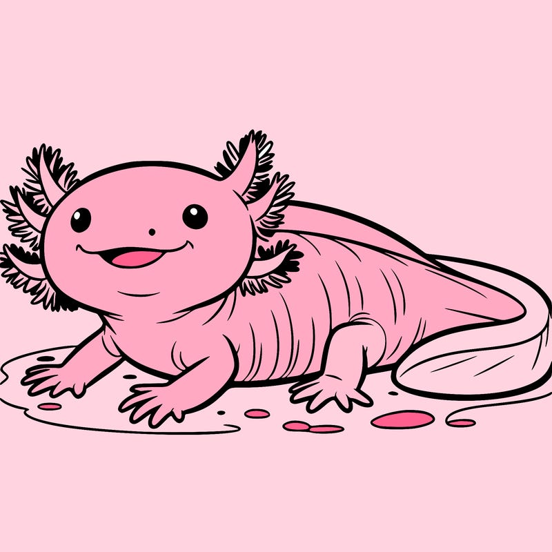 axolotl