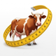 Cattle Weight Pro