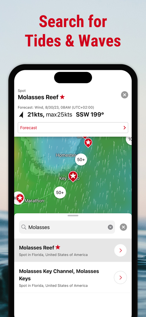Windfinder app interface searching for tide and wave data at Molasses Reef Florida with wind speed and direction details