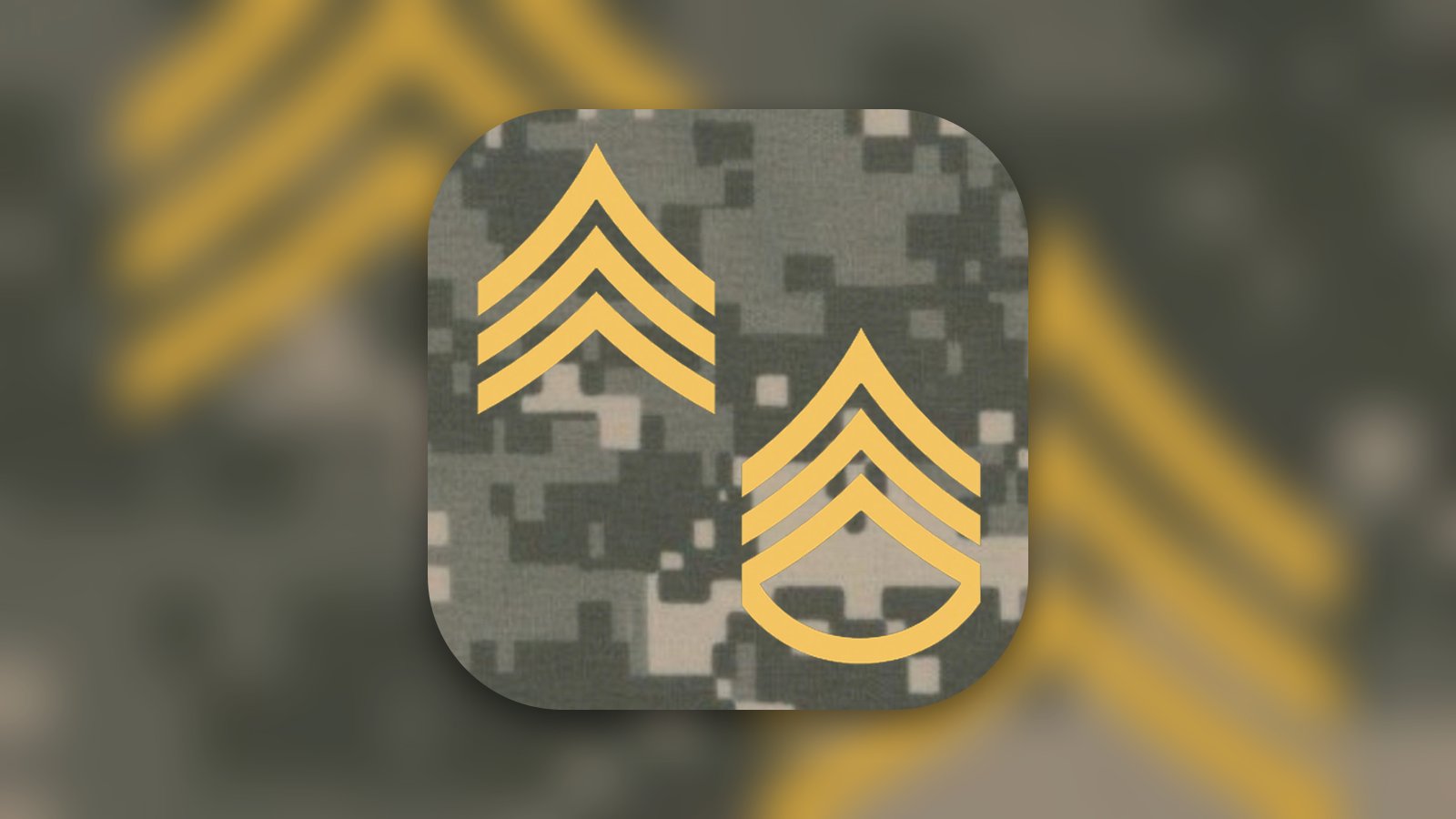 PROmote - Army Study Guide - Education App | MWM