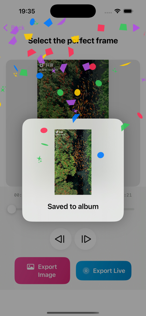 Video Frame Capture Pro - Interfaz de aplicación móvil que muestra una exportación de imagen exitosa desde un vídeo con una vista previa de una escena natural y confeti.