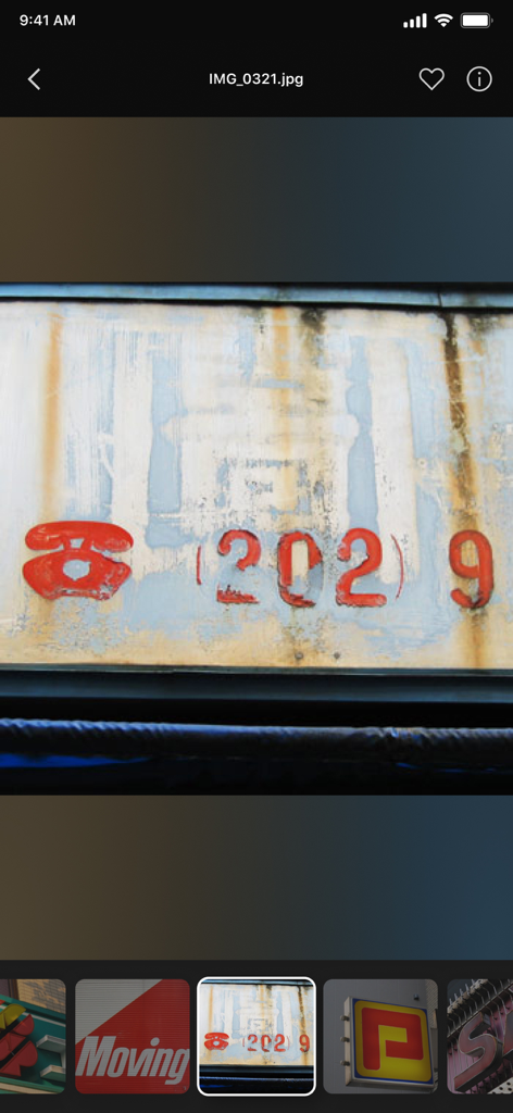 Plex Photos - Detail view of a photograph within the Plex Photos app for iOS.