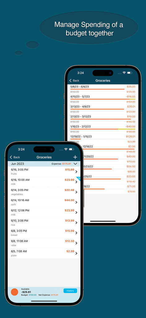 IPhone screenshot of the Best Budget app displaying a detailed transaction list for groceries and historical budget tracking.