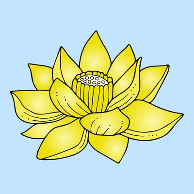 flowers_08