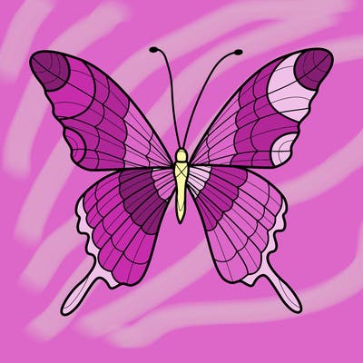 animals_17