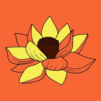flowers_08