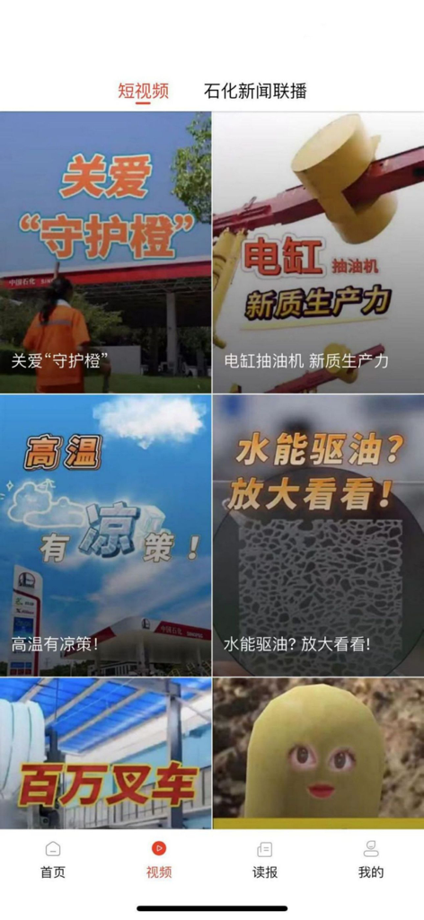 新石化 - A grid of short videos and news thumbnails on the New Sinopec mobile application