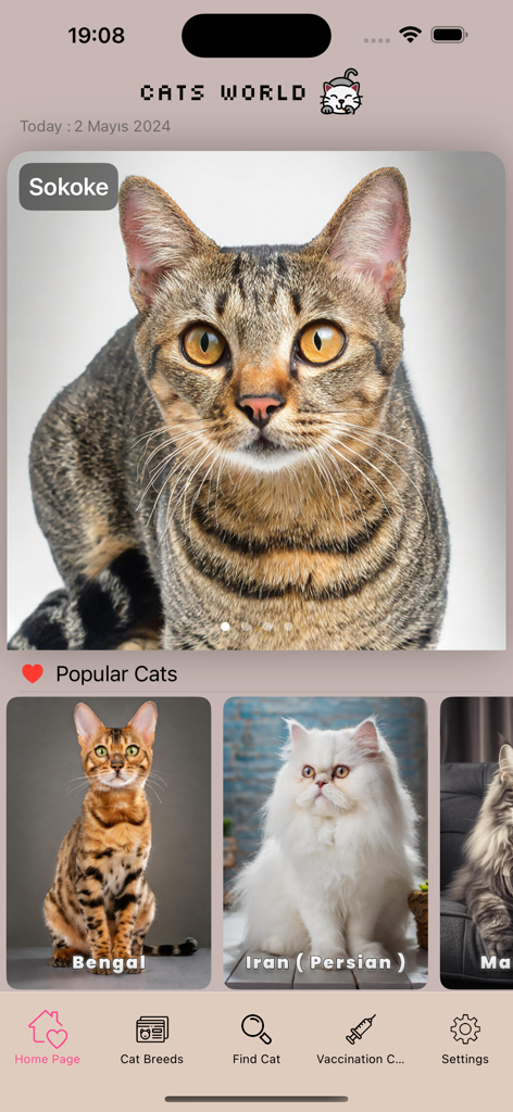 Cats World - La pantalla de inicio de la aplicación móvil Cats World que muestra razas de gatos populares como Sokoke y Bengal