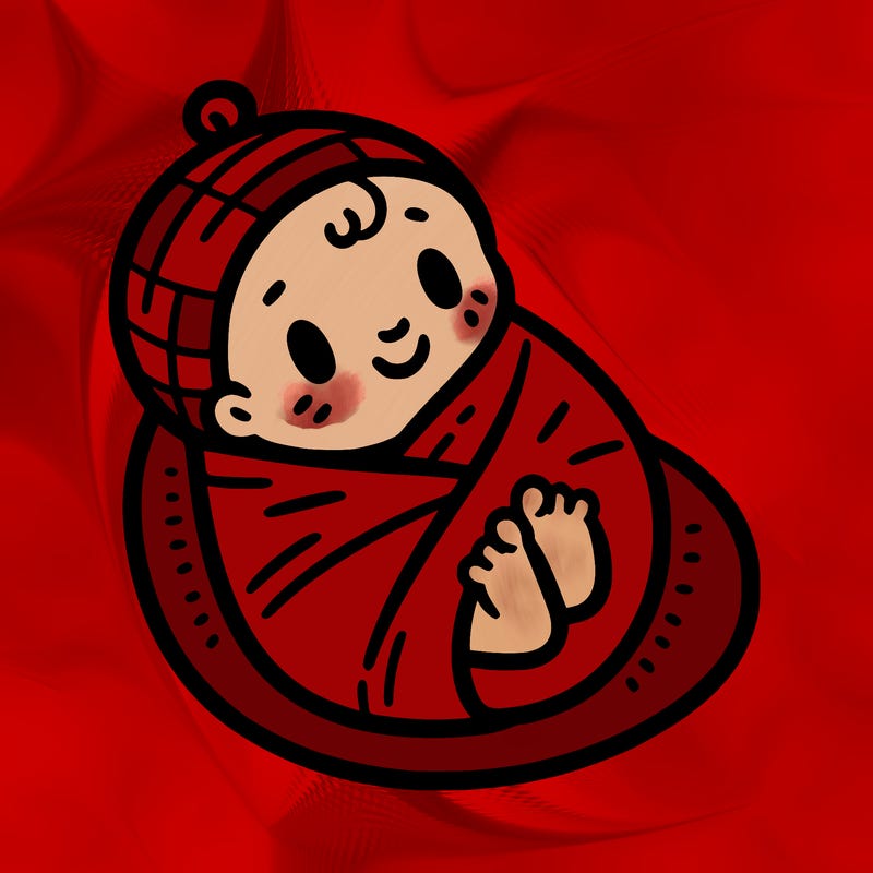 baby wrapped in a blanket