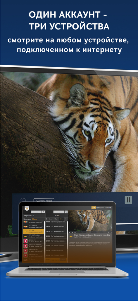 Novoe TV - Novoe TV interface displayed on a laptop and television screen