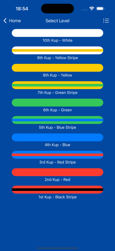 DojangIQ - DojangIQ level selection screen showing various Taekwondo belt rankings from white to black stripe