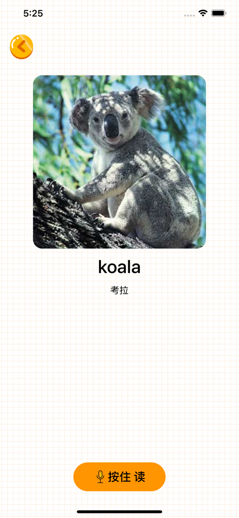 Bilingual English and Chinese flashcard showing a real life image of a koala with a record and repeat button