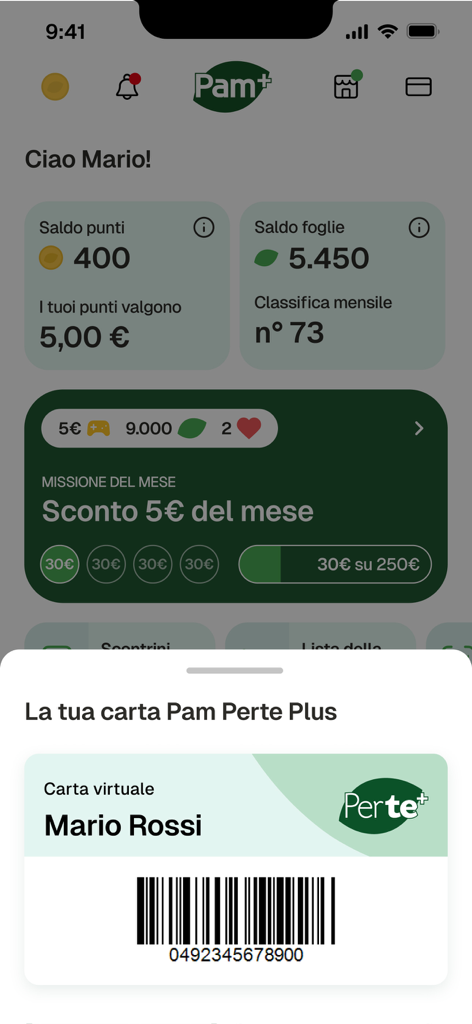 Pam Perte Plus - The Pam Perte Plus app interface showing a digital loyalty card and reward points summary.