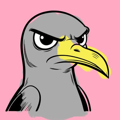 serious seagull