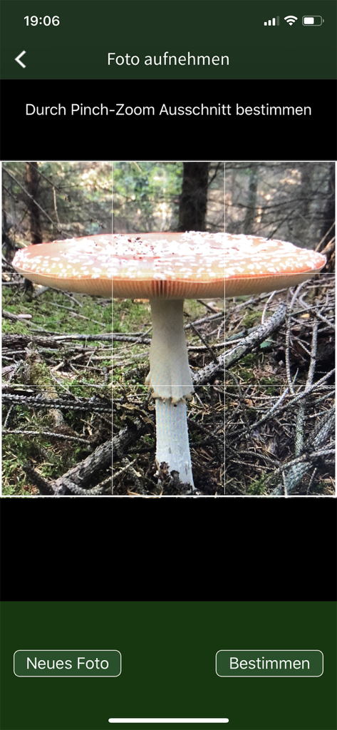 PilzSnap - Pilze sammeln! - Interfaccia fotocamera dell'app PilzSnap che scansiona un fungo selvatico per l'identificazione
