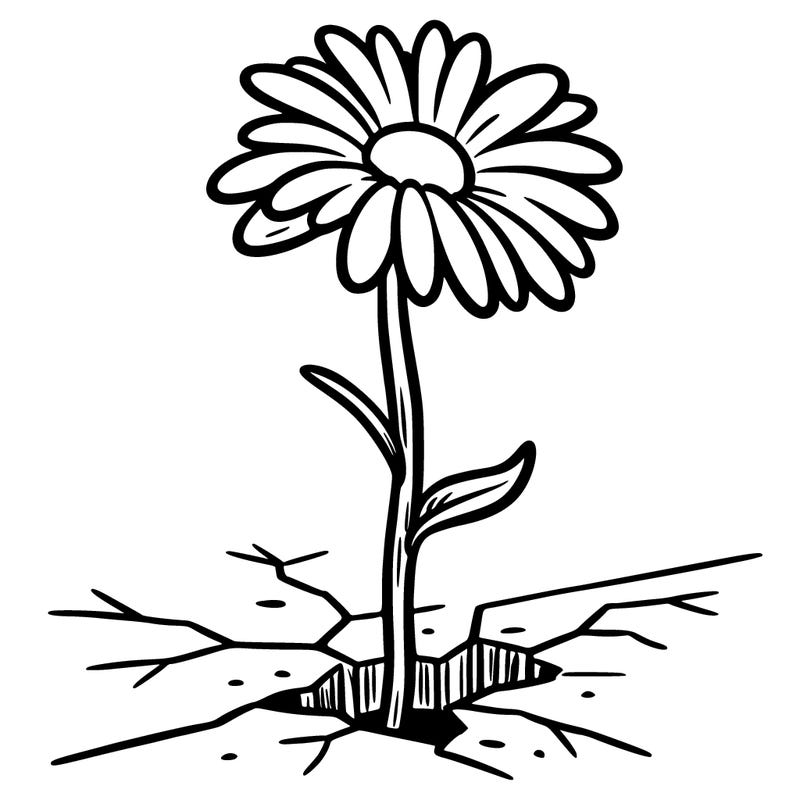 drawing of a daisy coming out of a sidewalk crack