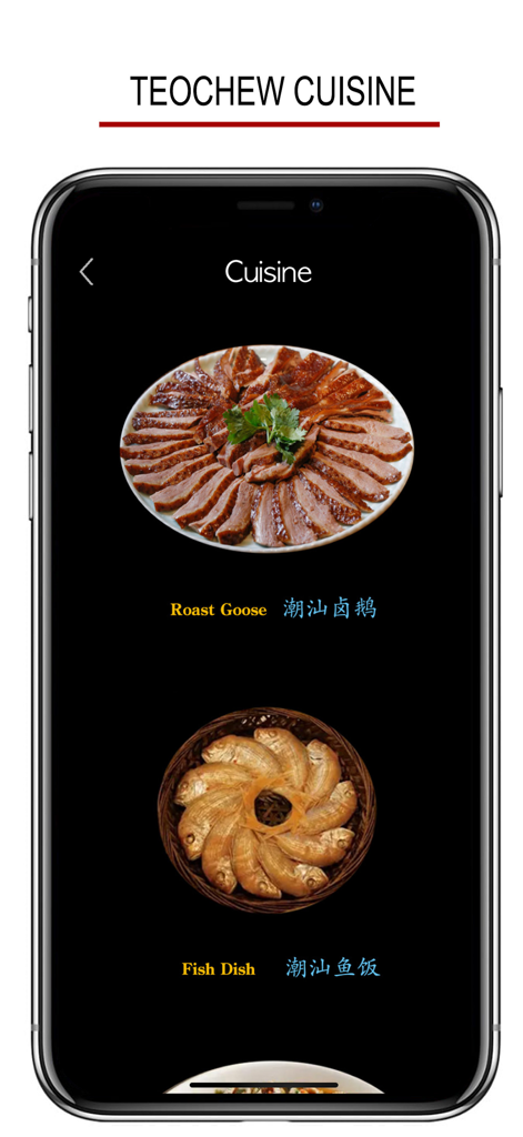 Tela do celular mostrando culinária Teochew com imagens e nomes de Pato Assado e Prato de Peixe em inglês e caracteres chineses.