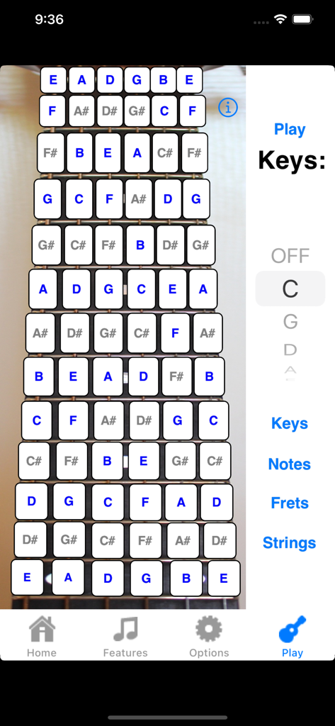 Guitar Fretboard Addict - Oberfläche einer Gitarrenlern-App, die ein Griffbrett mit beschrifteten Musiknoten und Theorieübungen zeigt.