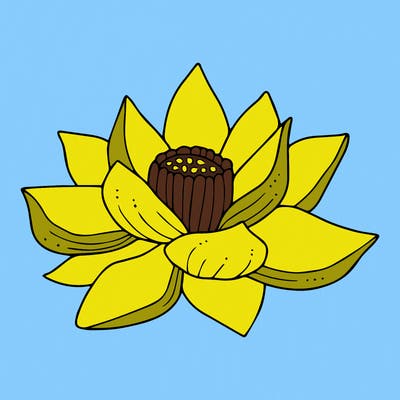 flowers_08