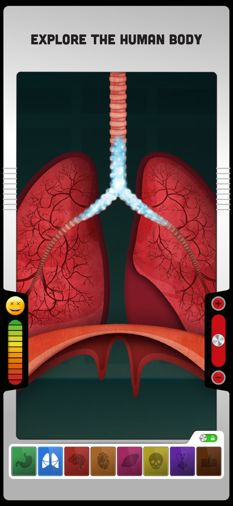 The Human Body: Learn Anatomy - Interactive respiratory system scene with lungs and trachea in the human body anatomy app
