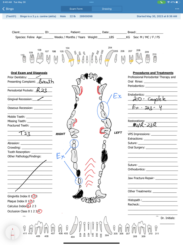 SMILE - A Vet Practice App - Digital canine dental chart with handwritten medical notes in the SMILE veterinary app