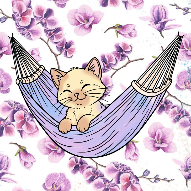 a kitten sitting in a hammock