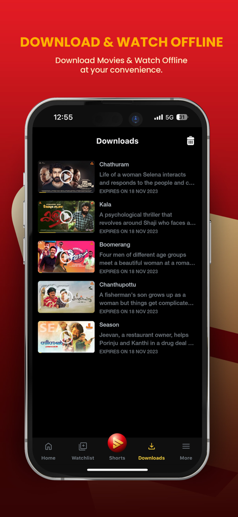 Saina Play - Malayalam Movies - Interfaz de la aplicación Saina Play que muestra una lista de películas de Malayalam descargadas para ver sin conexión