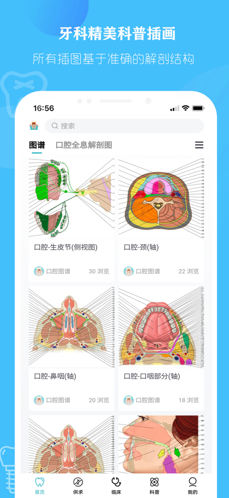 口腔解剖图 — 口腔牙科精美科普全息插图 - Schermata dell'applicazione mobile che mostra varie illustrazioni dettagliate di anatomia orale e dentale.