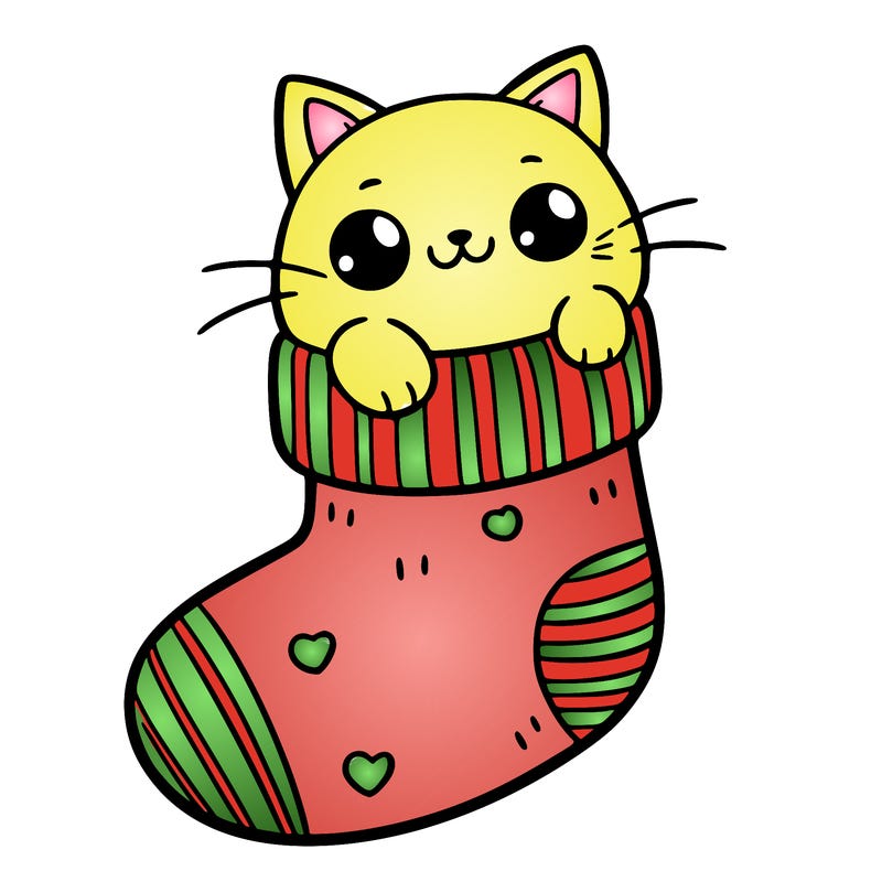 cute cat in a sock
