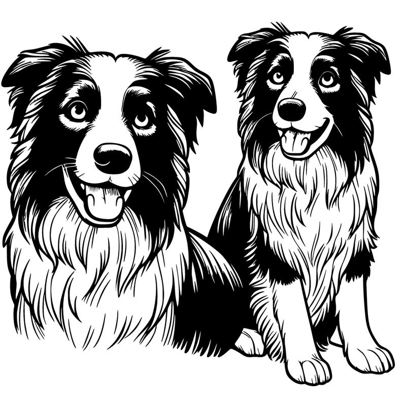 realistic border collie