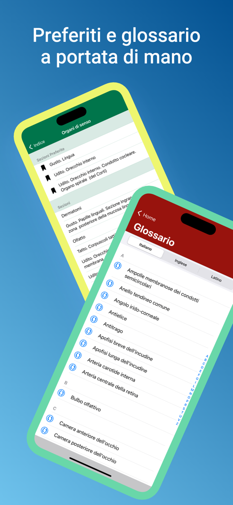 Atlante di Anatomia-Sezioni - 解剖アプリのスクリーンショット。イタリア語、英語、ラテン語の用語が含まれる医療用語集と、お気に入りリストが表示されています。