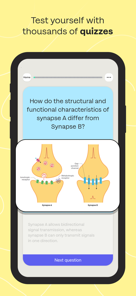 Sharpen - College Exam Prep - A biology quiz question about synapses with a detailed anatomy diagram in the Sharpen app