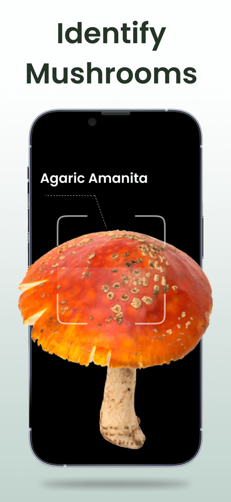 Plant Identifier: Plantiary - Plantiaryアプリから、赤いテングタケキノコを識別しているスマートフォンの画面。