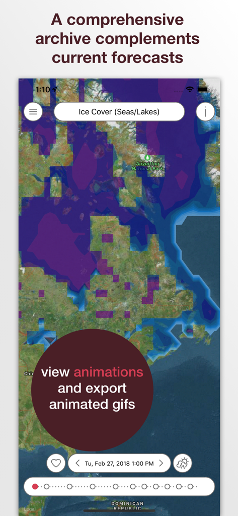 Interfaccia dell'app meteo Pflotsh ECMWF che mostra una mappa storica della copertura di ghiaccio con opzioni per visualizzare animazioni ed esportare GIF.