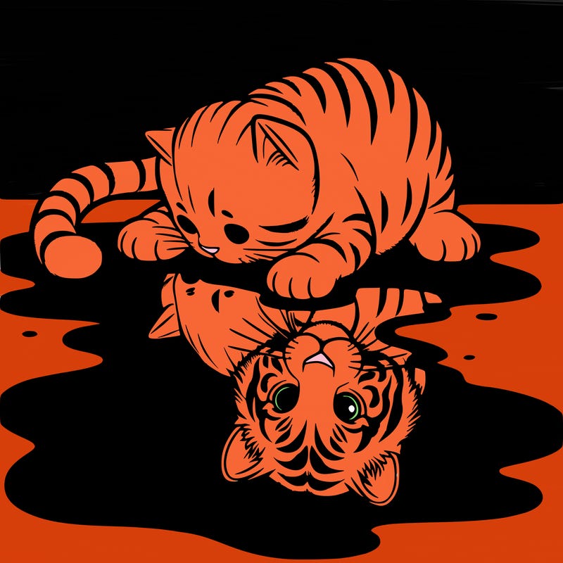 s small tabby cat look at itself in a puddle and sees it like a white tiger.