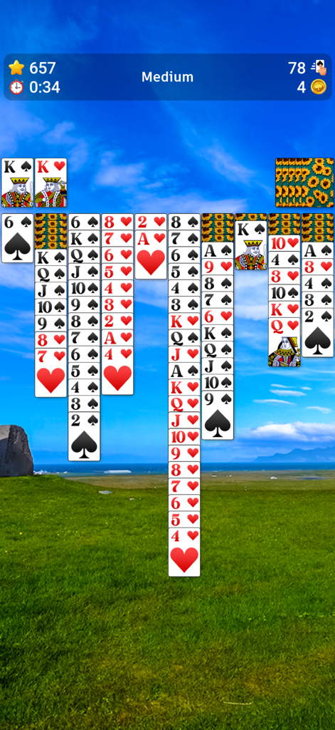 Spider Solitaire` - Spider Solitaire medium mode gameplay with a scenic landscape background.