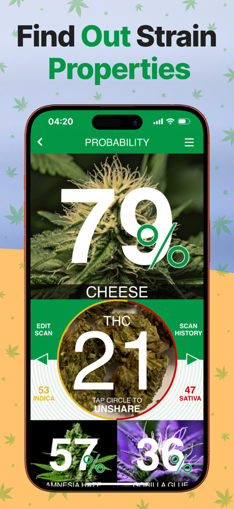 Kush Scan app interface showing strain identification probability and THC content for a cannabis flower