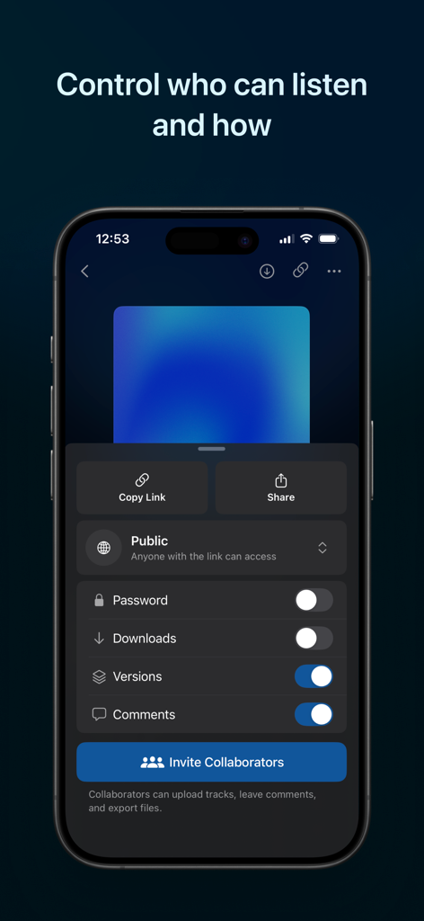 Samply - Listen & Share - Samplyアプリのインターフェース。オーディオプロジェクトの共有権限とコラボレーション設定が表示されている。