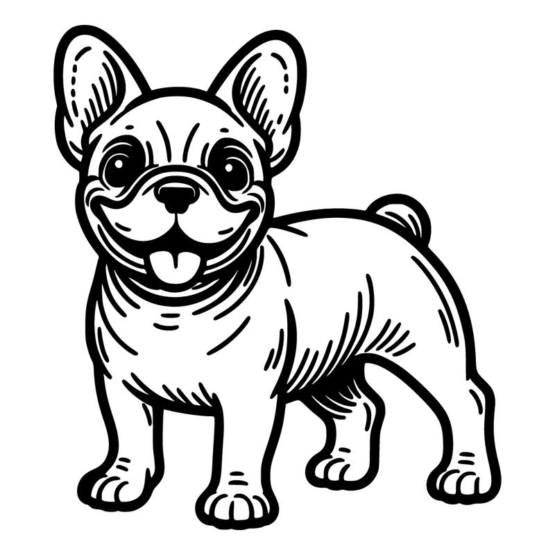 frenchie dog